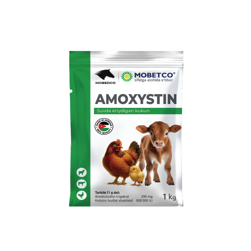 AMOXYSTIN WSP
