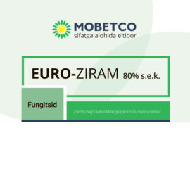 Euro-ZIRAM