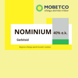 Nominium